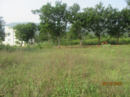 3) Li Id 282 - North and South Face Plot Stones.JPG